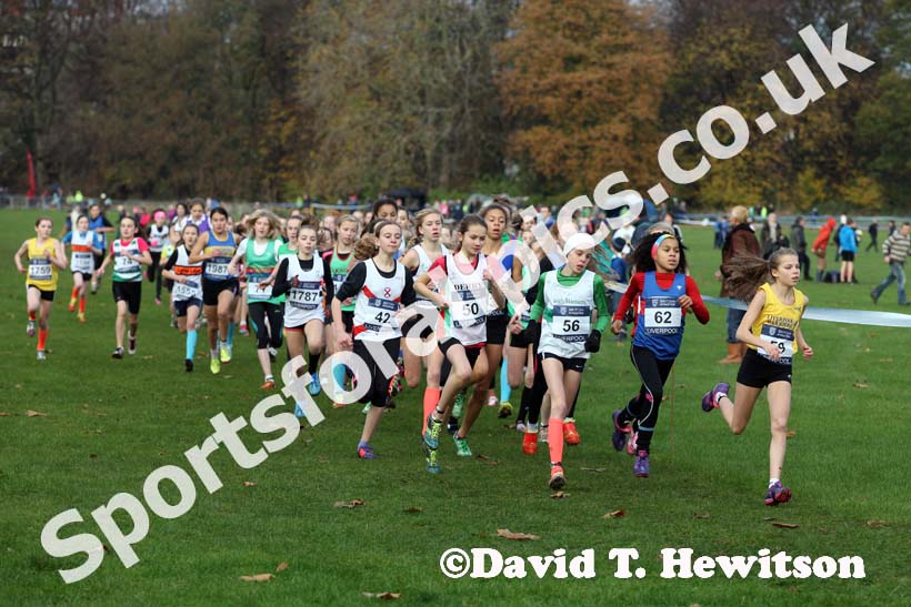 Start of the under-13 girls, Liverpool Cross Challenge. David T. Hewitson/Sports for All Pics